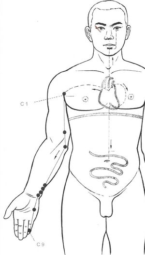 Trajet du méridien du Cœur (Shou Shaoyin) et ses points d’acupuncture