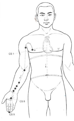 Trajet du méridien du Maître du Cœur (Shou Jueyin) et ses points d’acupuncture