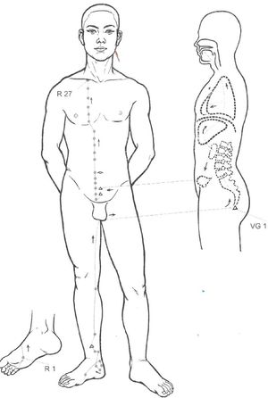 Trajet du méridien des Reins (Zu Shaoyin) et ses points d’acupuncture