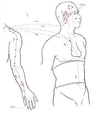 Trajet du méridien du Triple Réchauffeur (Shou Shaoyang) et ses points d’acupuncture