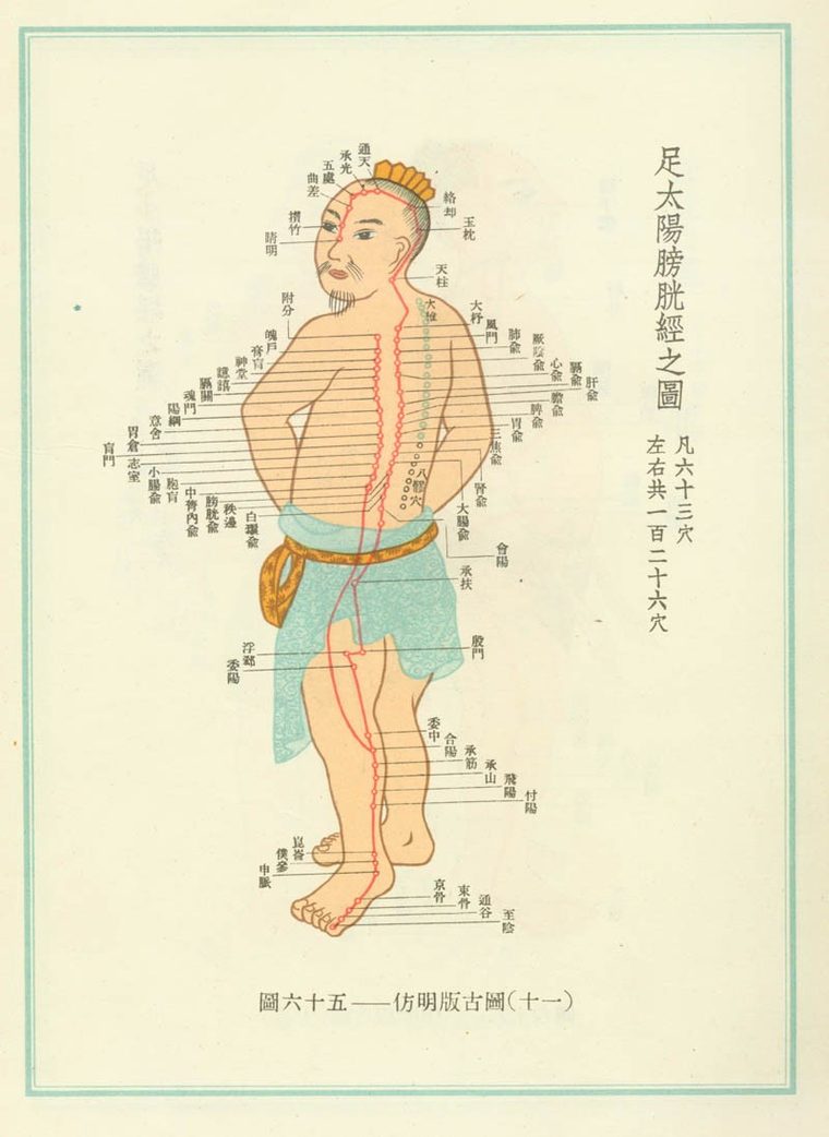 Planche ancienne représentant un méridien d’acupuncture
