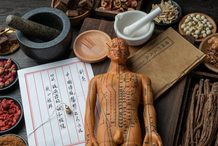 Mannequin d'acupuncture, aiguilles et plantes de la pharmacopée chinoise